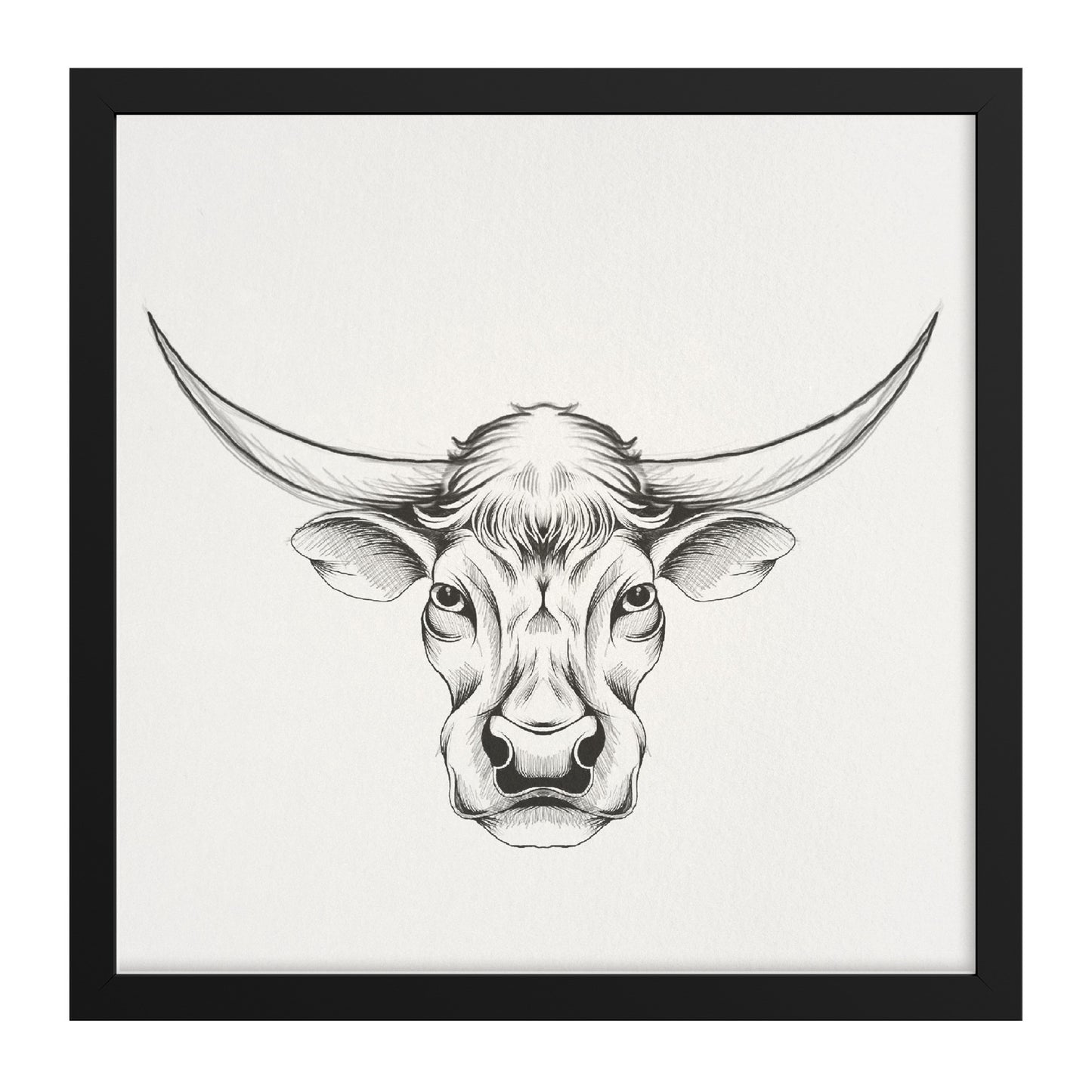 Cow hand sketch framed canvas