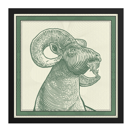 Goat framed canvas