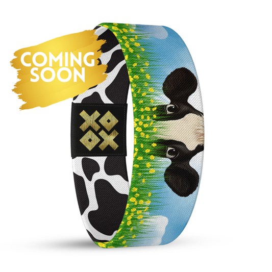 The west wasn't won on salad reel band