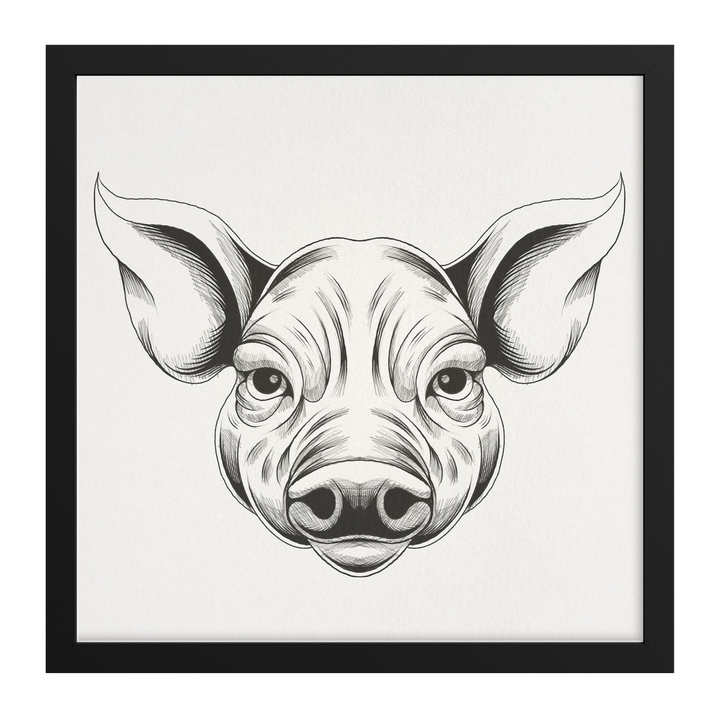 Pig hand sketch framed canvas