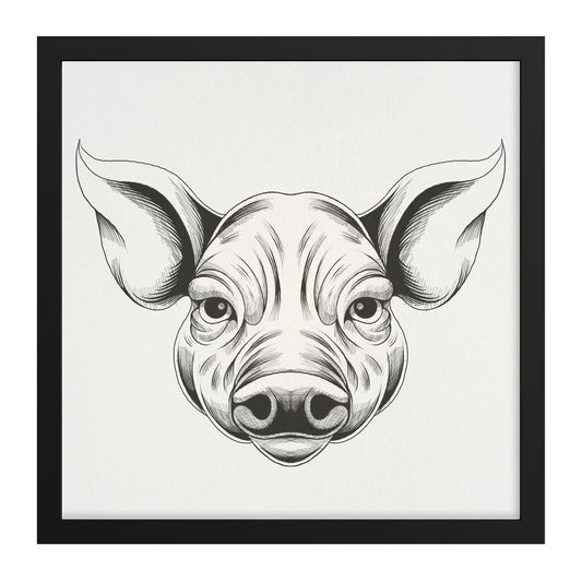 Pig hand sketch framed canvas